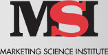 logo_msi